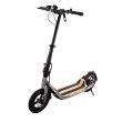 Trottinette électrique B12 : Roam Gris 624Wh Onemile