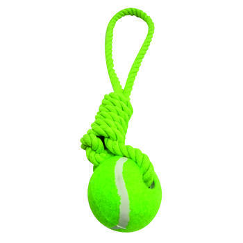 Jouet corde et balle de tennis pour animaux