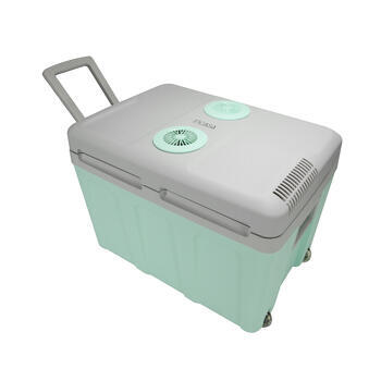 Glacière thermoélectrique