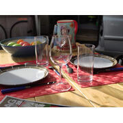 Lot de 6 verres à vin de dégustation en tritan