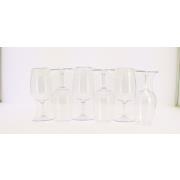 Lot de 6 verres à vin de dégustation en tritan