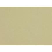 Taie d'oreiller en Lyocell : Beige 50 x 80 cm