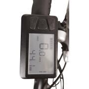 Vélo à assistance électrique pliant Folky : Gris 11Ah