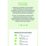 Kit vérins hydrauliques