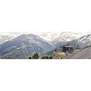 Omnistor 4200 Mystic Gris : Longueur 3,00 m, boîtier blanc