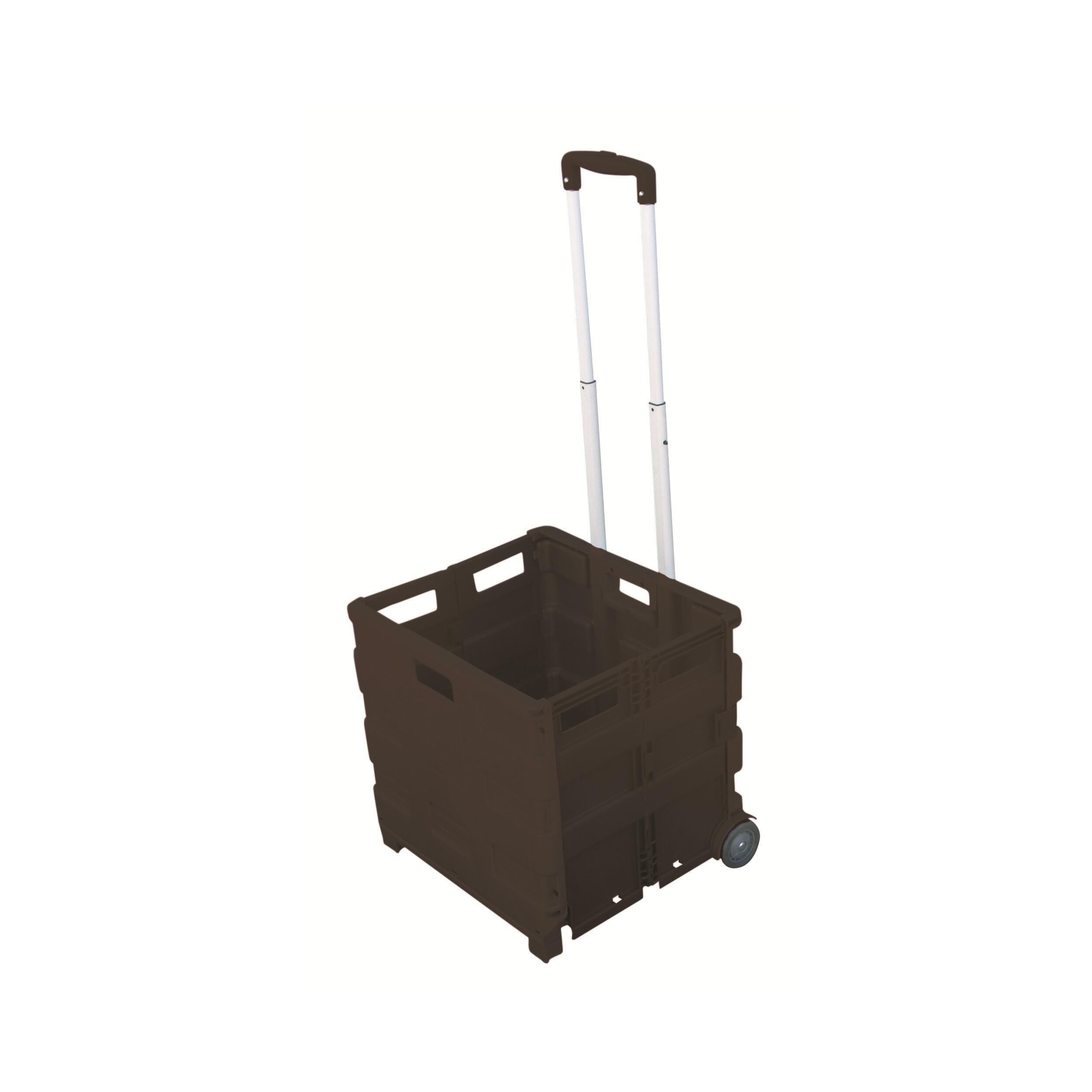 Porte-tout pliable Pack & Roll