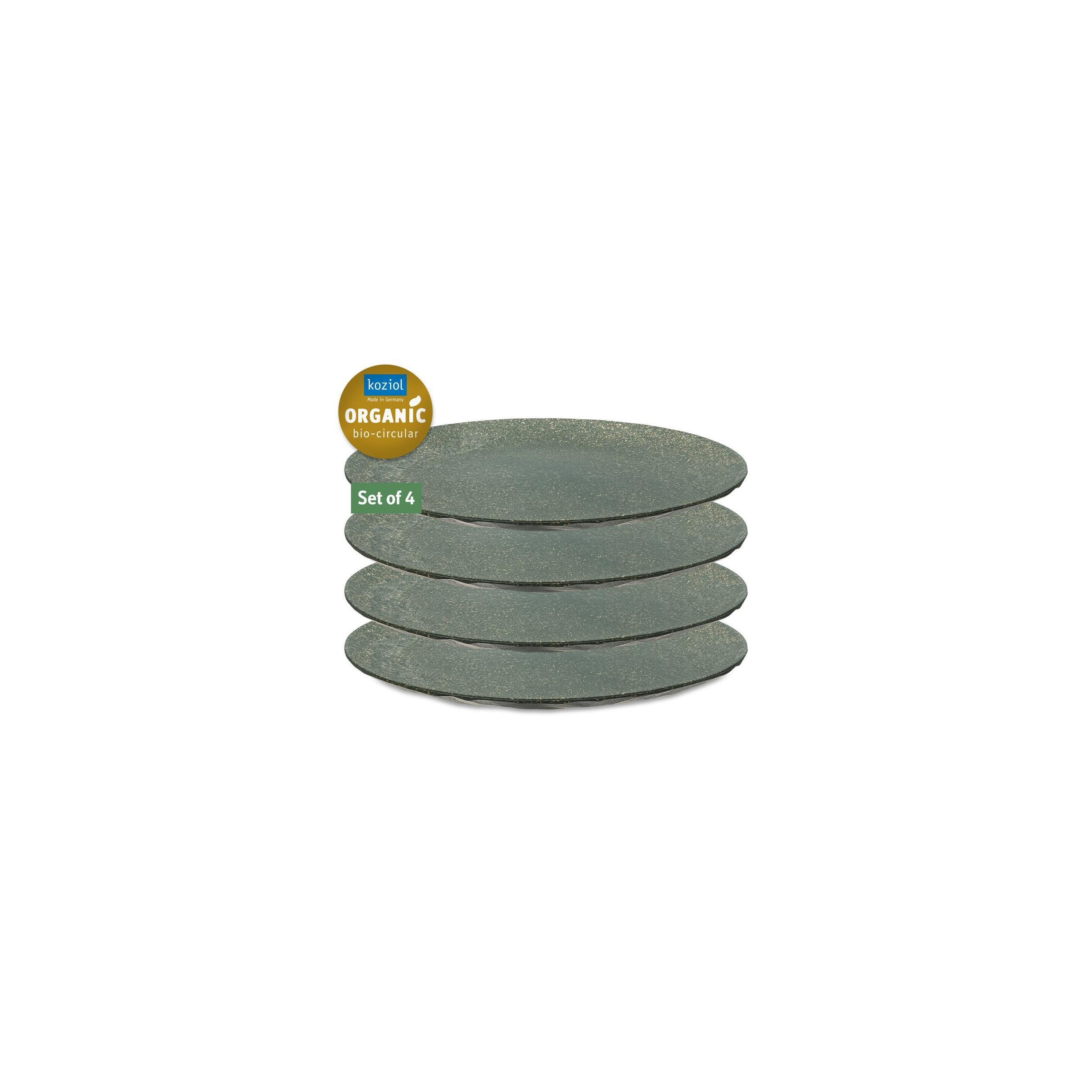 Lot de 4 assiettes plates CLUB : Coloris gris