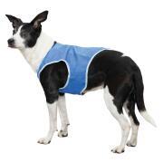 Gilet rafraîchissant pour chien taille M