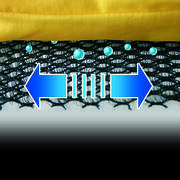 Air Circulation System