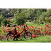 Vélo pliant à assistance électrique Juny : Rouge 14Ah