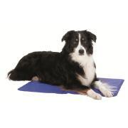 Matelas rafraîchissant pour chien taille L