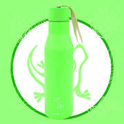Bouteille isotherme : Verte
