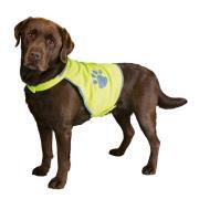 Gilet de sécurité pour chien taille M
