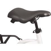 Vélo à assistance électrique pliant Muzy 20