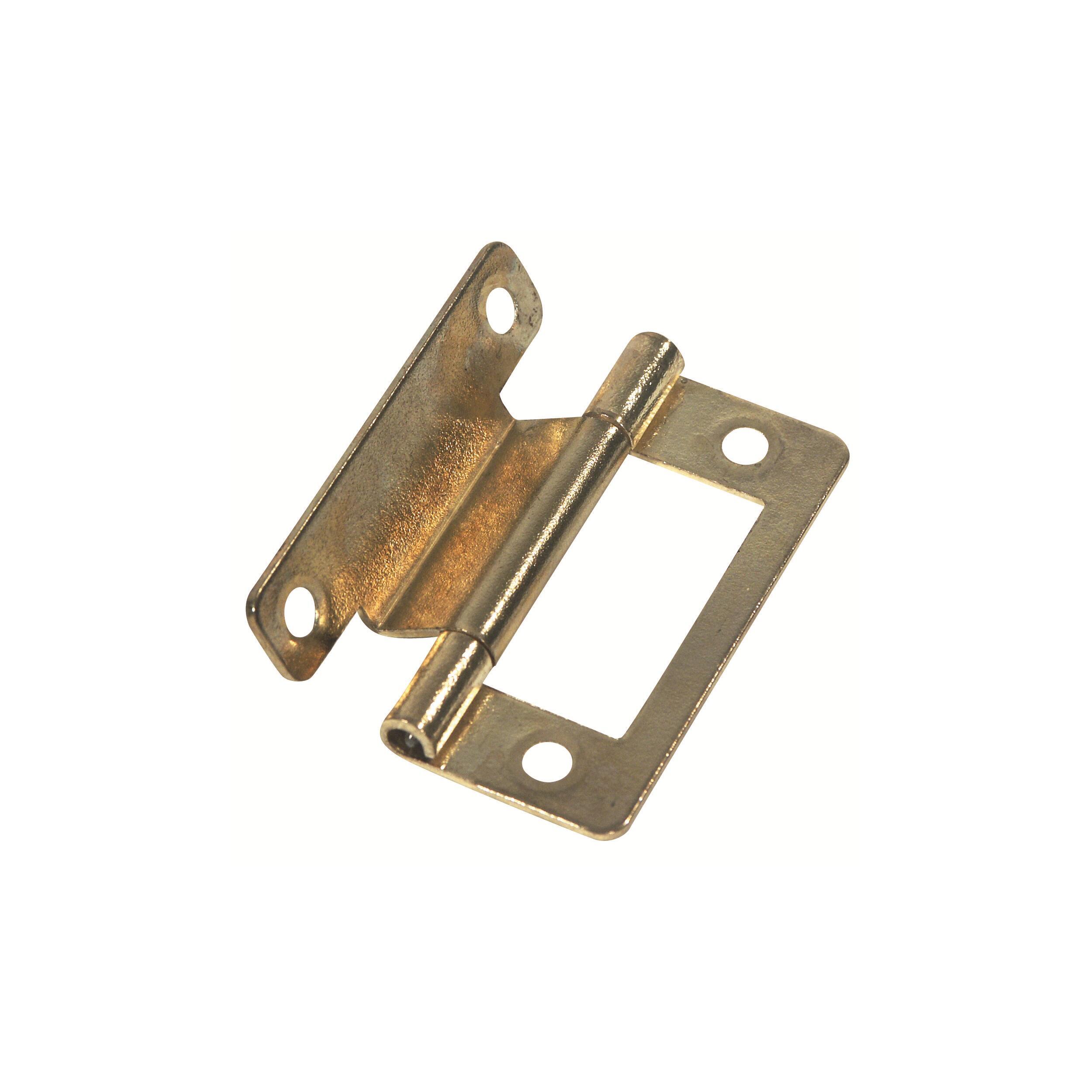 Charnières de meuble : Laitonnées x2