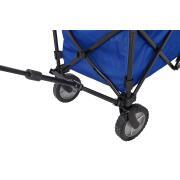 Chariot Trolley