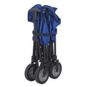 Chariot Trolley