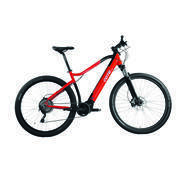 Vélo à assistance électrique CS300 29