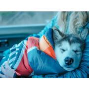 Couverture pour animaux Camp Vibes Two