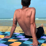 Couverture de pique-nique et de plage : Coloris Cheekers