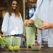 Carafe Tierra : Coloris Vert algue