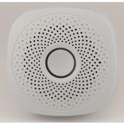 Détecteur de gaz monoxyde de carbone